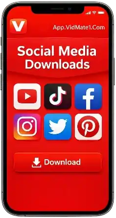 Social Media Downloads